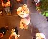 DSCN0485.JPG