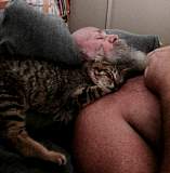 sleeps.jpg