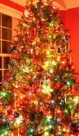 DSC00029a.JPG