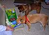 DSCN0694.JPG