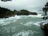 DSCN0778.JPG