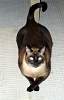 1samcat.JPG