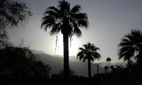 DSC00020.JPG