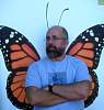 stevewings.jpg