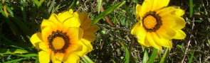 P1060045.JPG